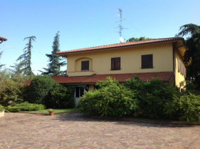 Casa Bonaparte